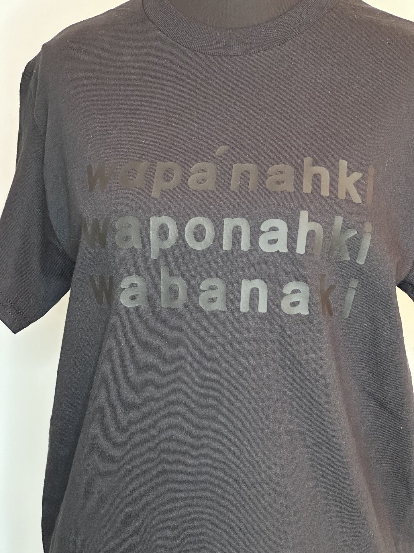 Wabanaki Word Tee